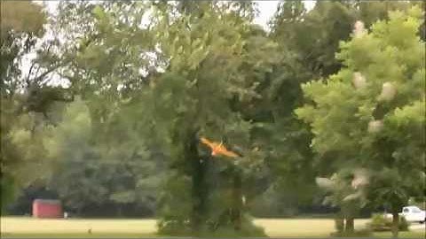 HobbyZone Champ flight compilation + crash