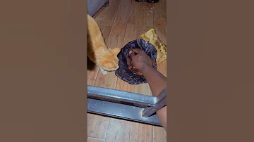 Kappa Za Frank Ntambi 