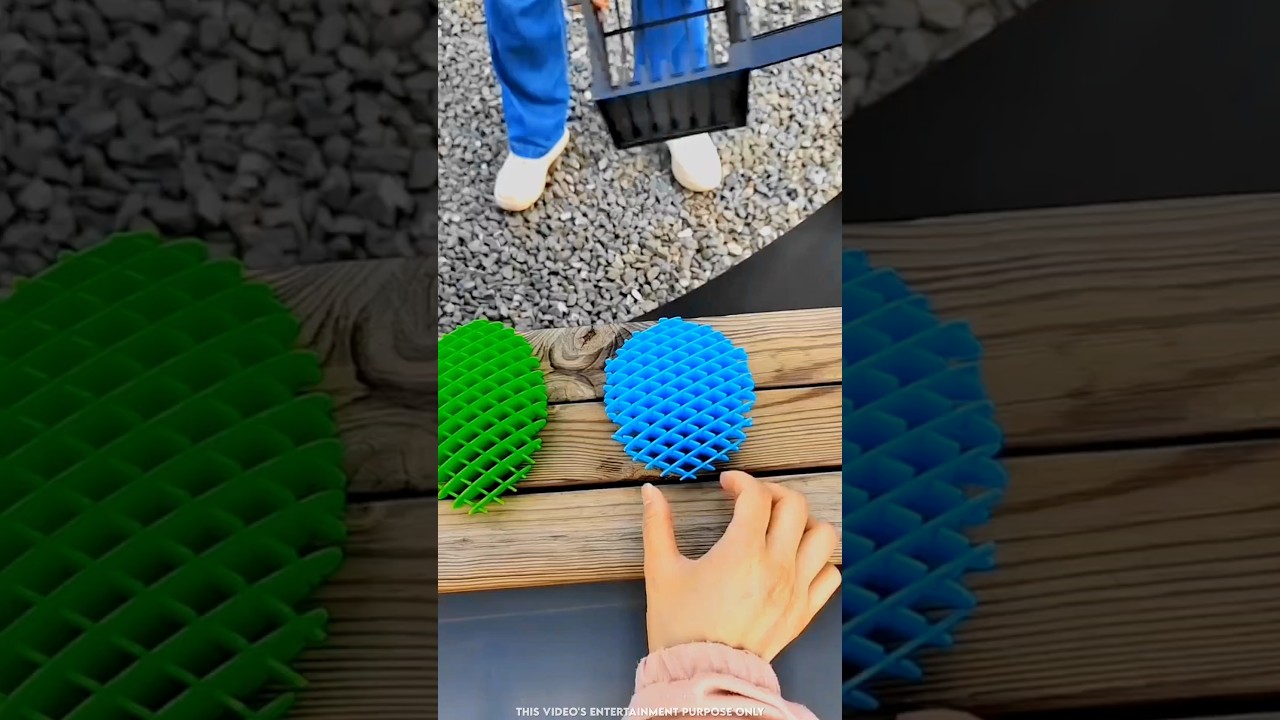 Magic of Rainbow Bugs 🐞🌈✨ 