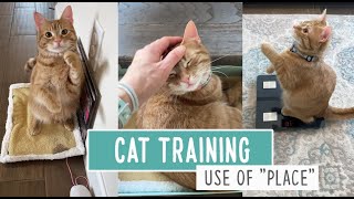 Cat Training  Use of 'Place'