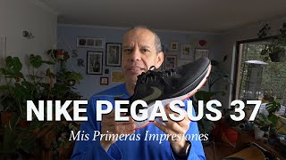 Nike Pegasus 37. Mis Primeras Impresiones