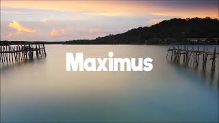 DJ Max - Malchik Gay (Remix)