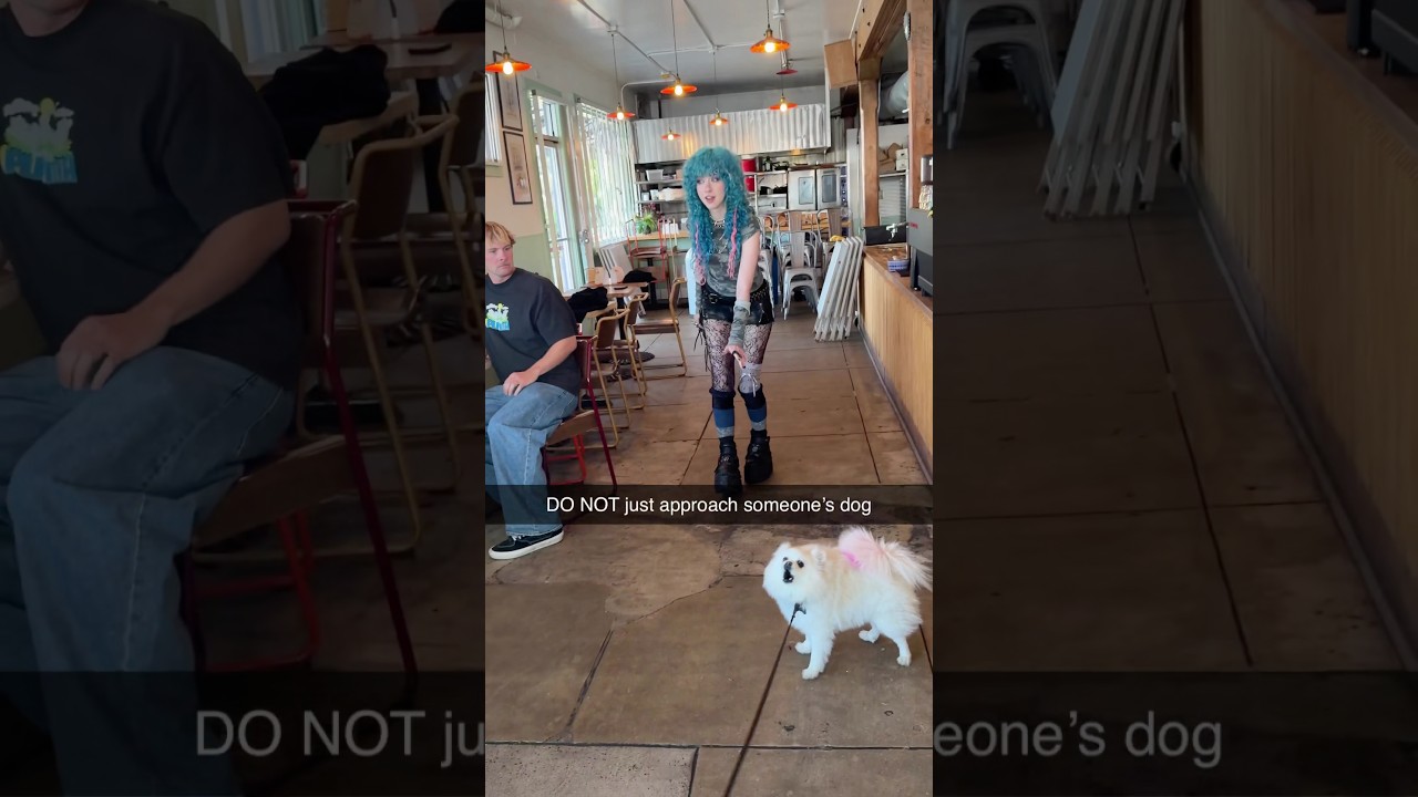 Do NOT just approach someone's dog