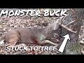 Monster Buck Dies Stuck To Tree  S8