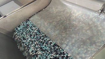 TAIHO plastic color sorter sorting PP pellet【+86 18019567337 Charlie】