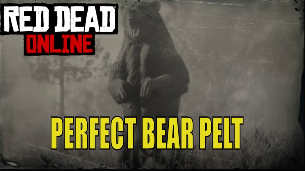 PERFECT BEAR SPAWN LOCATION IN RED DEAD ONLINE - YouTube