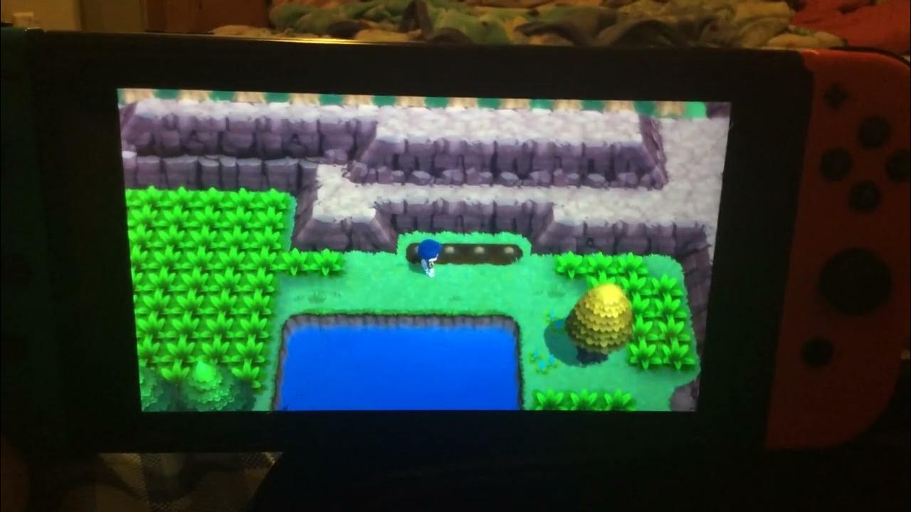 How to find Oran berries YouTube