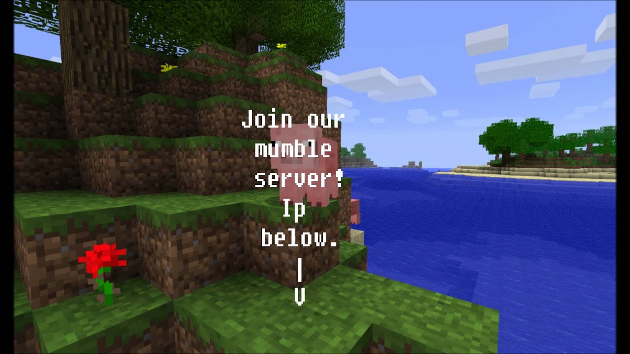 Join our mumble server!