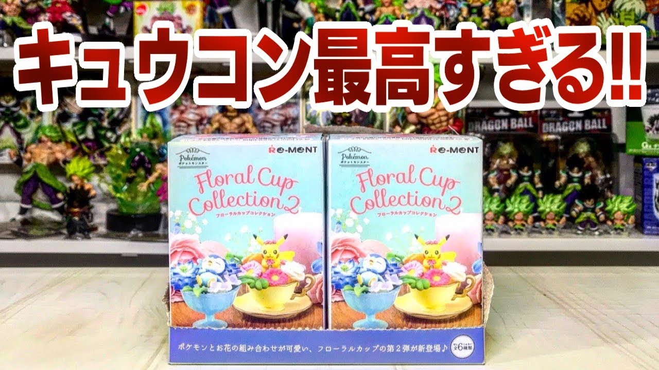 ポケモン　フローラルカップコレクション　コンプリート　リーメント