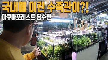 *역대급탐방기* 국내에 이런 수족관이? 아쿠아포레스트 담수편! [애니몰로TV]