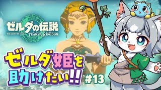 【ティアキン】祠攻略編とゼルダ姫を救う為の準備！色々回りたい！/ゼルダの伝説 ティアーズオブザキングダム【フィルン・シィ/Vtuber】#13
