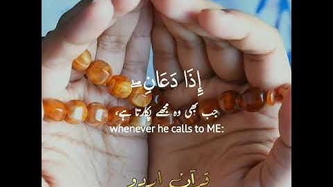 وإذا سألك عبادي عني فإني قريب♥️ القارئ عمير شميم 🎙️✨Quran with Urdu, English Translation