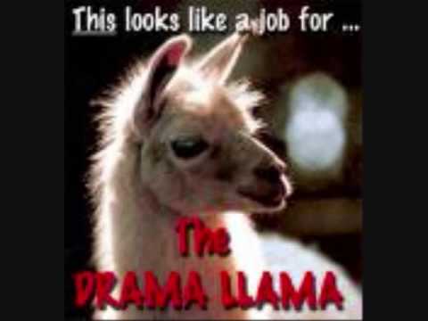 Llama Movie