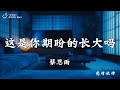 蔡恩雨 這是你期盼的長大嗎 原唱 張齊山ZQS 你很失望吧 大人的世界不快樂吧 動態歌詞 PinyinLyrics 蔡恩雨 這是你期盼的長大嗎 原唱 張齊山ZQS 你很失望吧 大人的世界不快樂吧 動態歌詞 PinyinLyrics