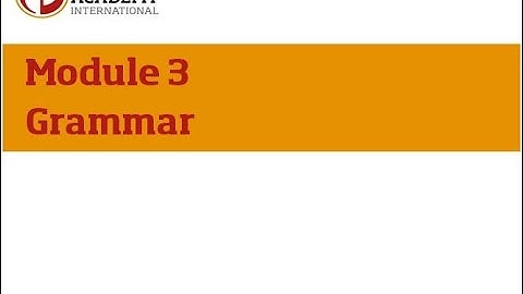 module 3 - Grammar