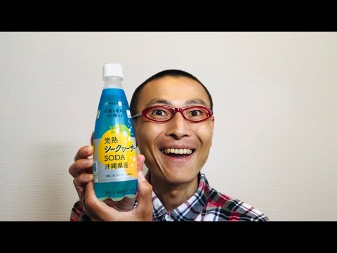伊藤園 ニッポンエール 沖縄県産完熟シークヮーサーSODA を味わう！