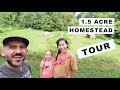 1.5 Acre Homestead TOUR!! (homesteading family)