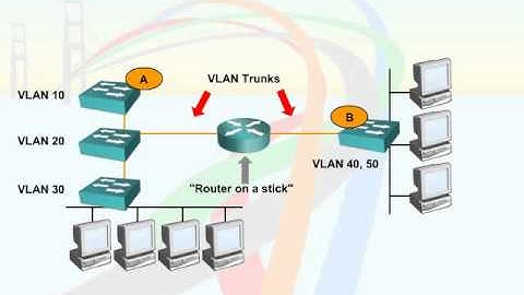 445   40  VLAN and Trunking   06  Router Options