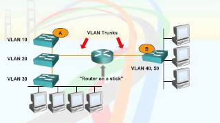 445   40  VLAN and Trunking   06  Router Options screenshot 3