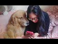 When Your Dog Is Like Your Sibling 🤣 Funny Dog and Human