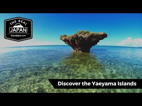 Discover the Yaeyama Islands: Japan's Hidden Paradise  | The Real Japan | HD