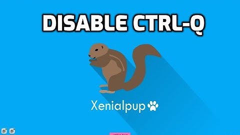 Disable Ctrl-q keyboard input in puppylinux.
