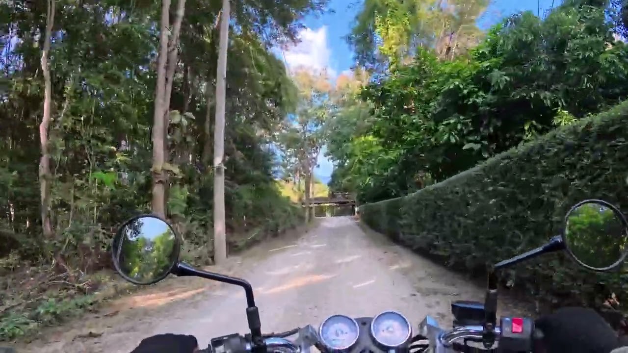 Lion cafe resort - Coffee Pastries