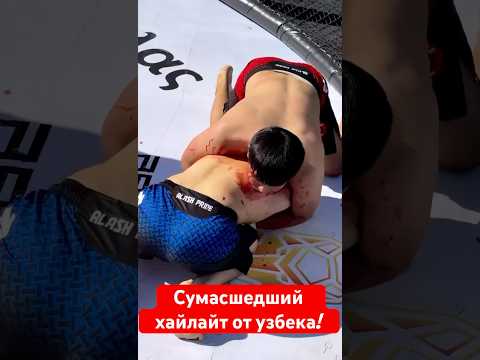Сумасшедший хайлайт от узбека! #мма #muradaov #mma #файтинг #ufc #кунфу #бои #харидуз #бокс #юфс