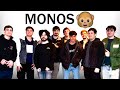 1 Día con los Monos