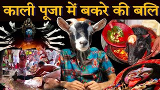 Goat Sacrifice in Kali Puja | Animal Sacrifice to Maa Kali | Kali Puja Mein Bakre Ki Bali | Mutton