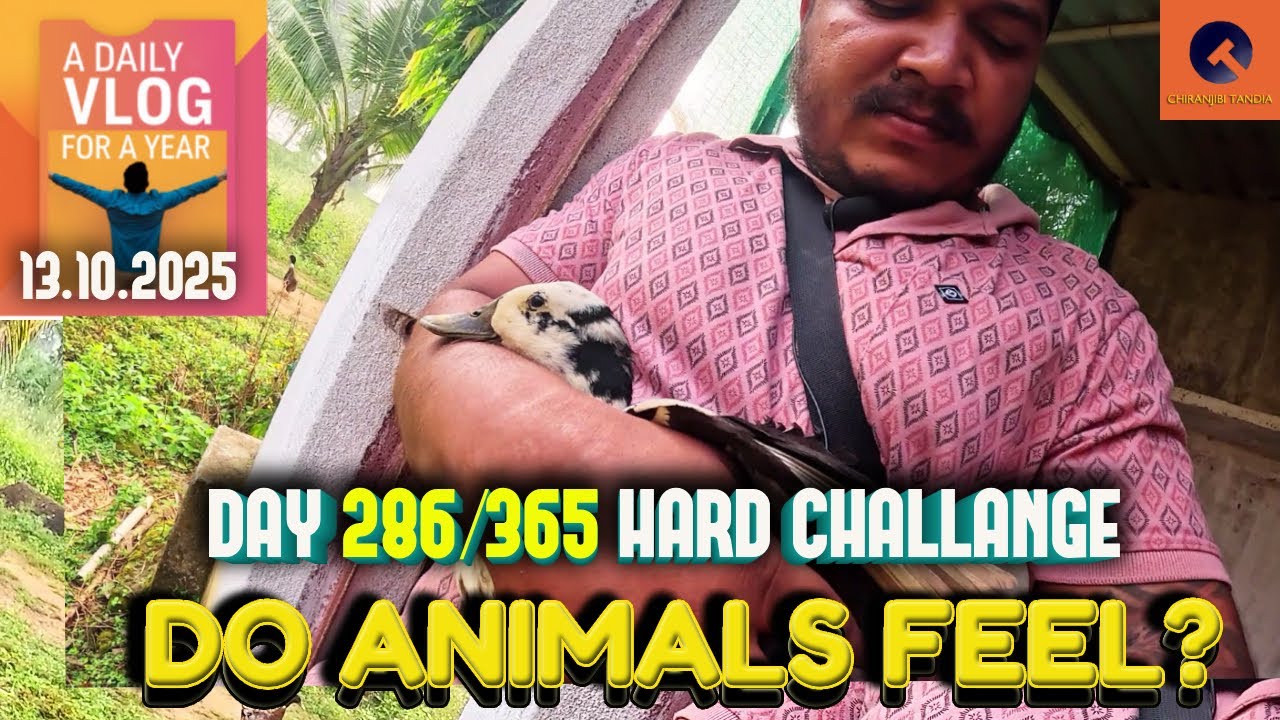 Do Animals FEEL Emotions Like Humans 🦆💔 | Day 286/365