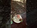 Уютная осень🍁🍂🏵️🌞