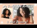My Curly Hair Routine &amp; Curly Hair Journey!