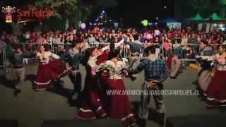 Más de 10 mil personas visitaron la Fiesta de la Vendimia 2015