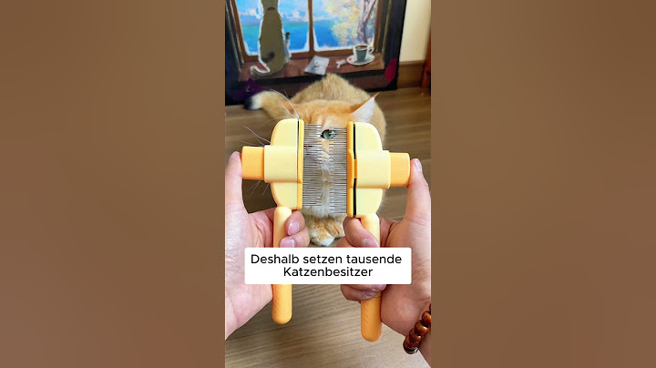 Bürste deine Katze ohne Ziepen oder Stress  🐱