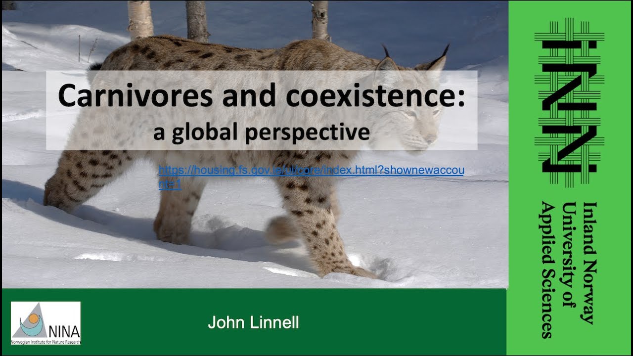 John Linnell Carnivores and coexistence — a global perspective YouTube
