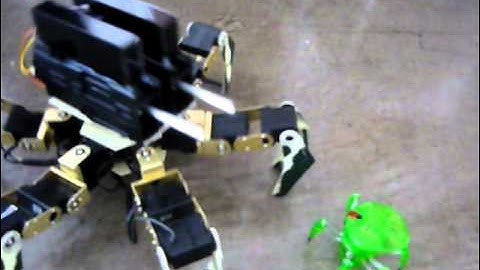 オサルの多足機と、小さなクモ型ロボット。