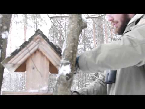 Video: Kā padarīt suņu smaku labu ar etiķi