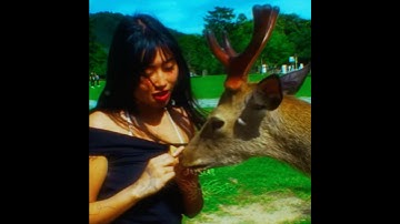 Beabadoobee edit | #capcut #beabadoobee #edit