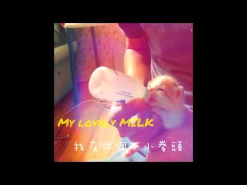Ari Ai 張愛愛 - 阿嚕咪之歌