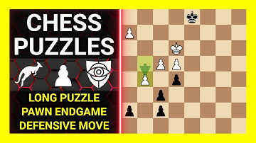 Chess Puzzles to Practice. Themes: Long puzzle, Pawn endgame, Defensive move. Learn Chess