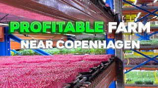 Sneak Peak of a Profitable Farm near Copenhagen