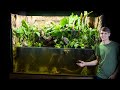 Planting the 350 Gallon Paludarium (Build Part 2)