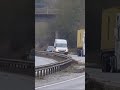 A Roman Candle Pidgeon #funny