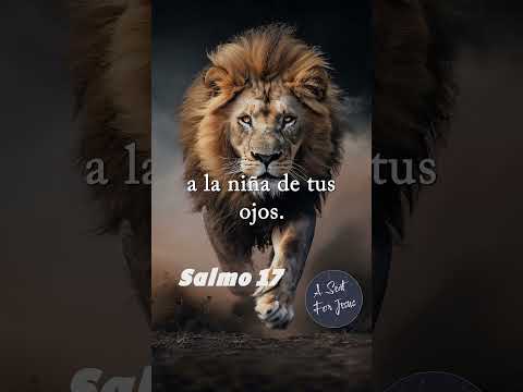 Salmo 17 - Oración por vindicación