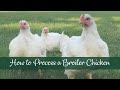 Processing a broiler chicken with meyer hatchery