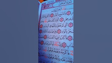 سورة الفجر الشيخ ماهر المعيقلي