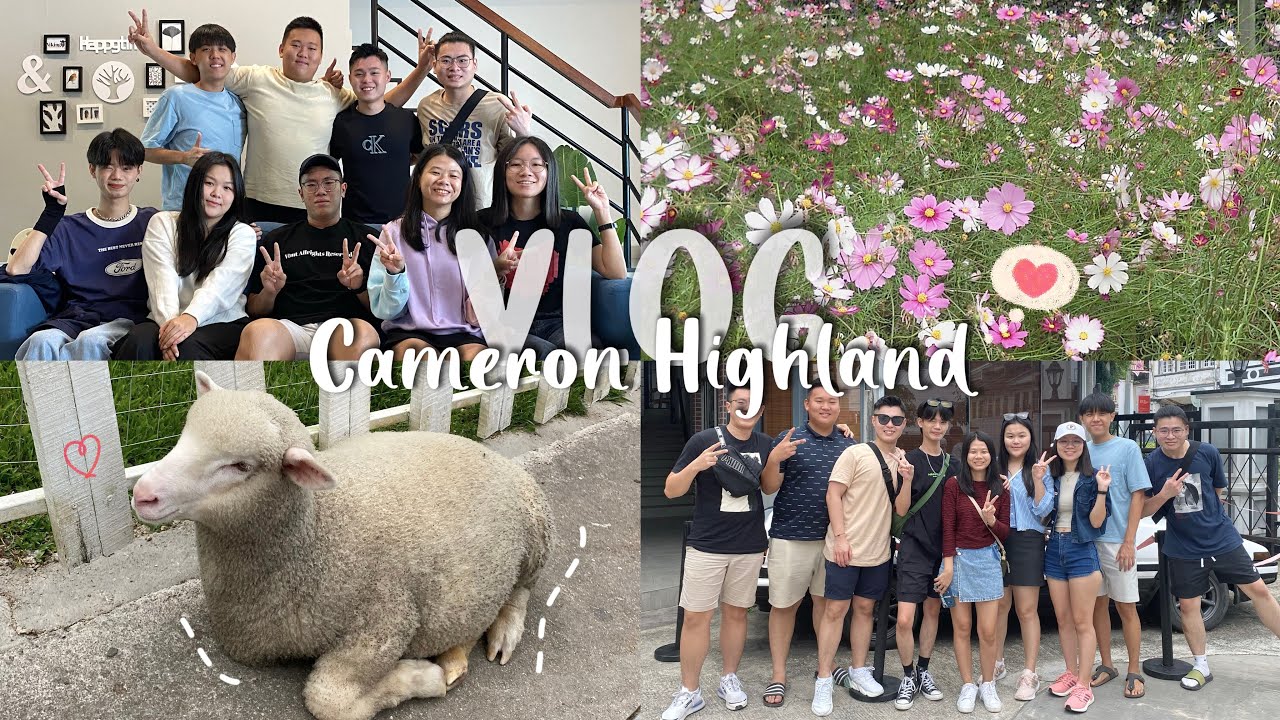 Cameron Highland Vlog ⛰️| 3天2夜之旅🥰 笑不停之旅🤣 Happy Life🫶🏻 走走看看吃吃喝喝笑笑笑❤️