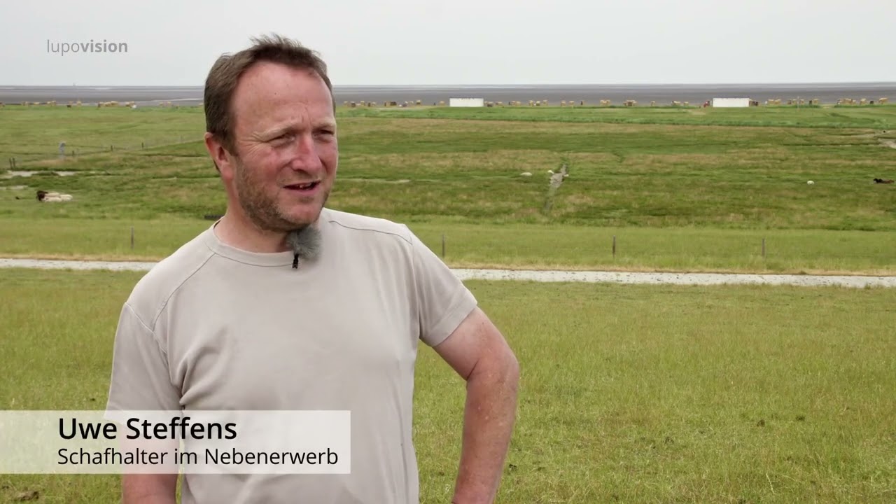 06a Wölfe und Menschen   -   Schafe Ziegen Wölfe 06a/12