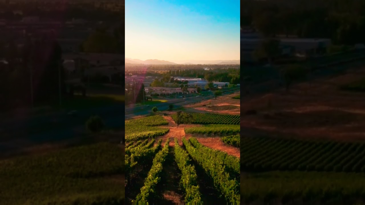 EXPLORE NAPA Valley  🍇🍷 Unlocking the Magic of the WINE